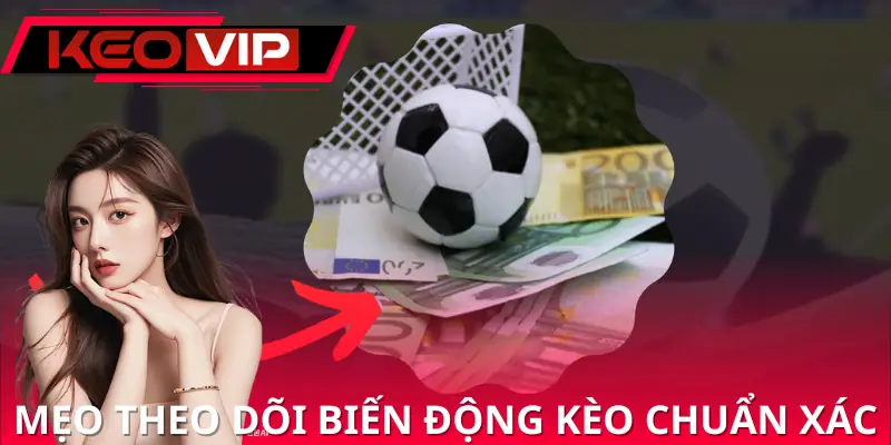 cach-doc-bieu-do-bien-dong-keo-meo-choi